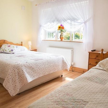 Shannon Breeze B&B Killaloe Luaran gambar