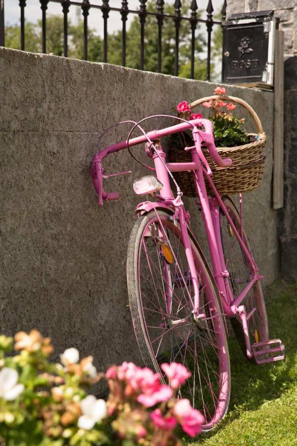 Shannon Breeze B&B Killaloe Luaran gambar
