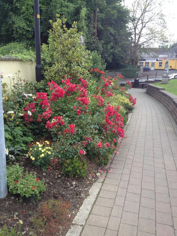 Shannon Breeze B&B Killaloe Luaran gambar