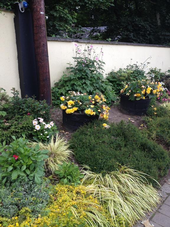 Shannon Breeze B&B Killaloe Luaran gambar