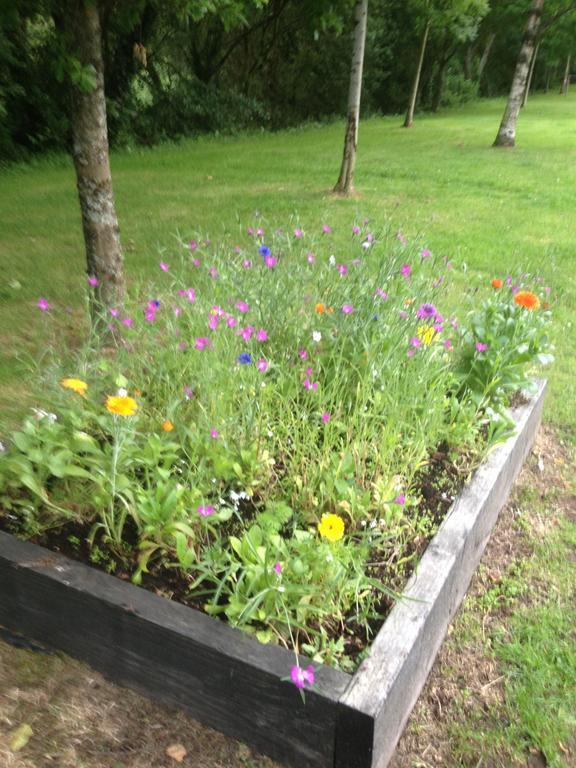 Shannon Breeze B&B Killaloe Luaran gambar
